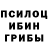 Псилоцибиновые грибы Psilocybine cubensis Vadym Mykytiuk