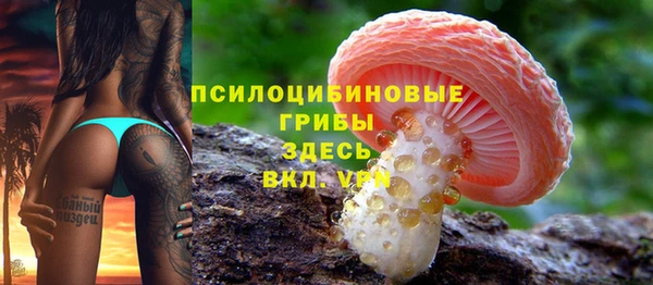 мет Кукмор