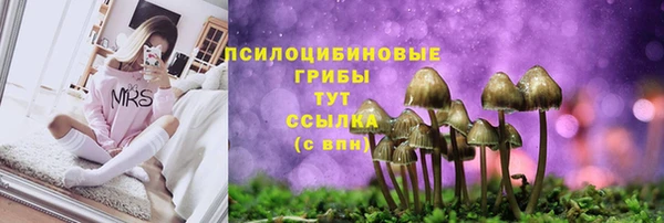 мет Кукмор